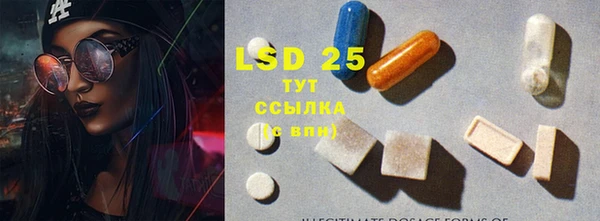 PSILOCYBIN Баксан