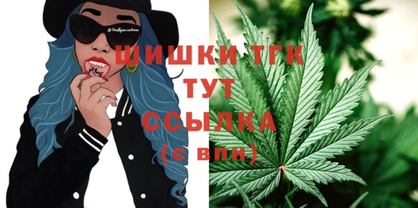 спиды Аркадак