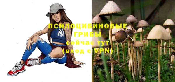 МДПВ Армянск