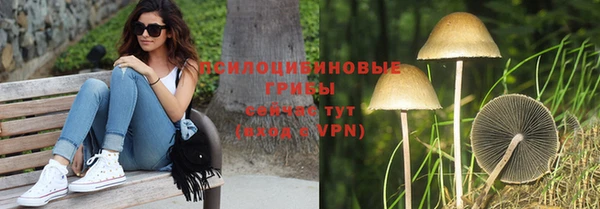 PSILOCYBIN Баксан