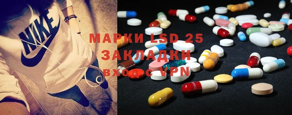 PSILOCYBIN Баксан